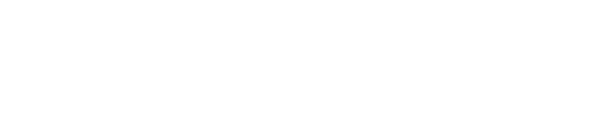 BeginWise